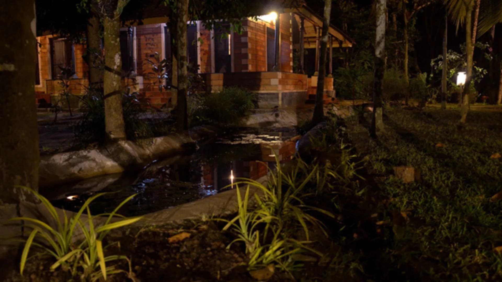 11 Days Skin Problems Ayurvedic Treatment Package wellness retreat in Kochi, India