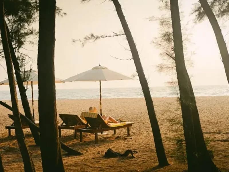 Ayur On The Beach Natika Resort 1782885398782