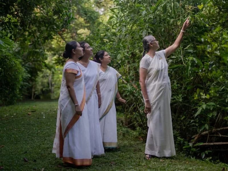 Barberyn Resorts Srilanka 1782894887812