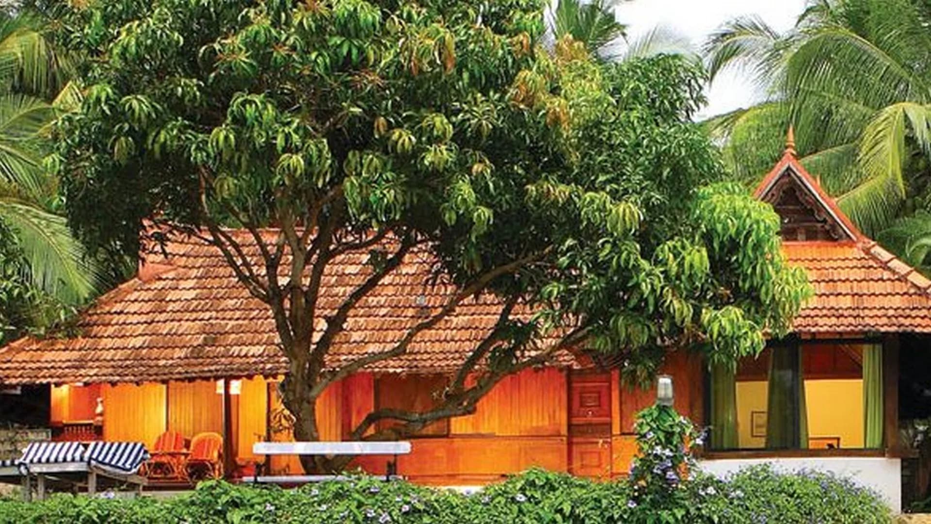 The Nest Kovalam 1781174374897